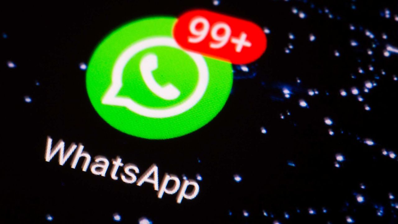 Why would you recommend WhatsApp Business for your organization?
